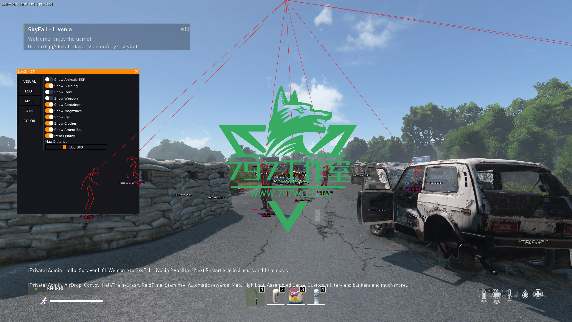 DAYZ辅助透视自瞄【STERN】国外老牌内部科技