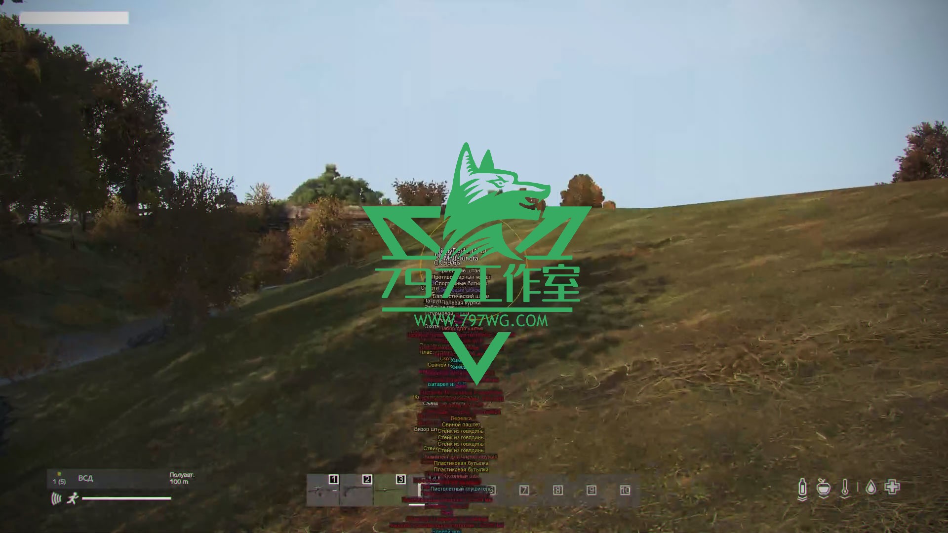 DAYZ辅助透视自瞄【BYSTER】