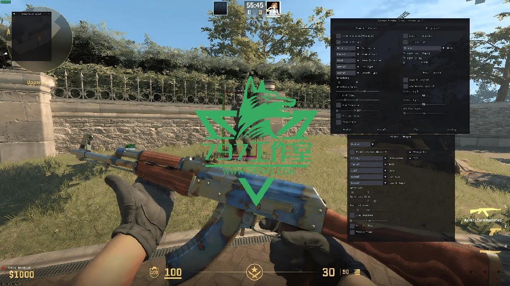 CSGO2【Kernaim】稳定大号国外老牌科技