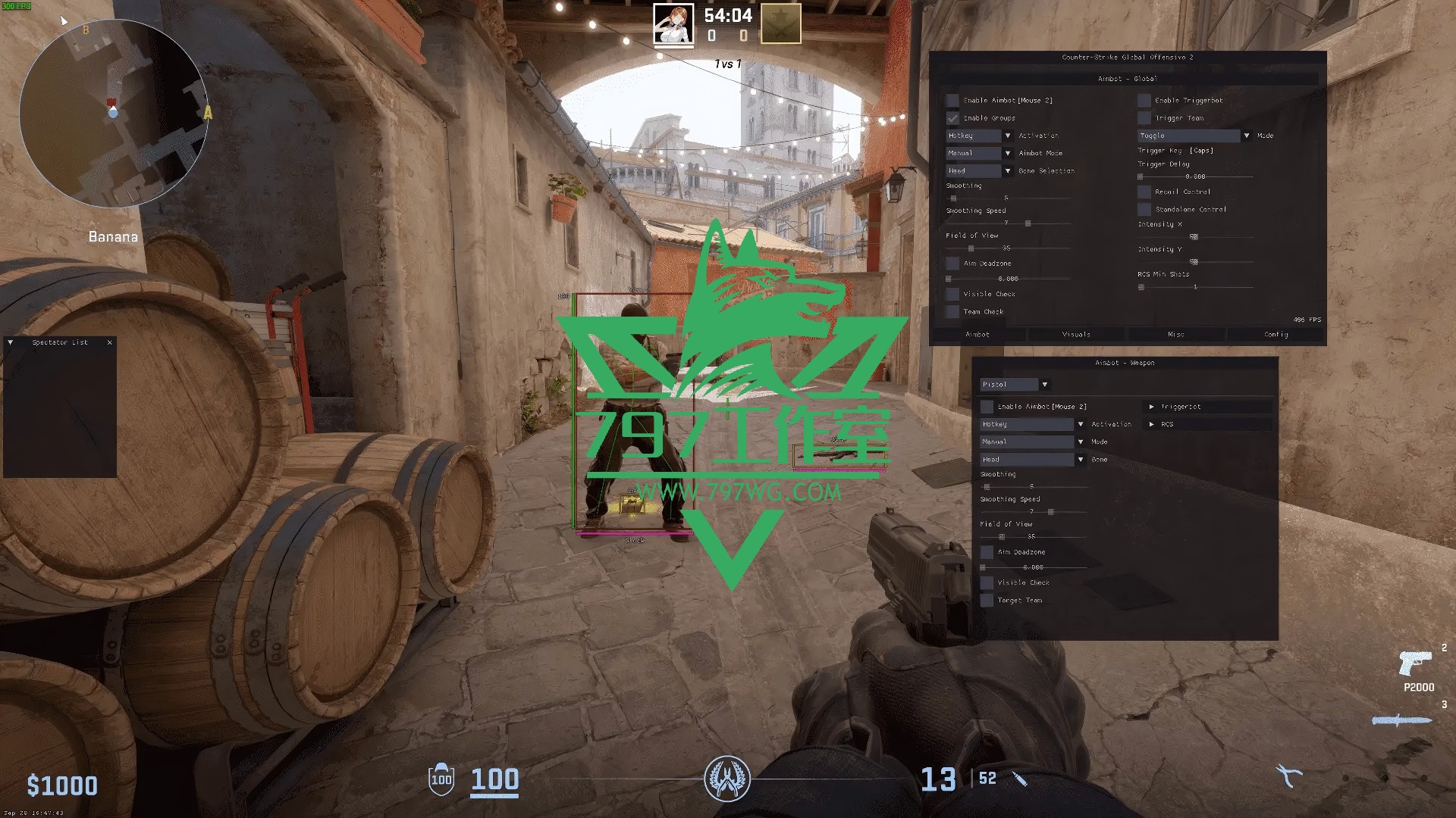 CSGO2【Kernaim】稳定大号国外老牌科技